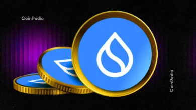 Sui Crypto Price Nears Crucial Support Is a 30% Rebound Coming