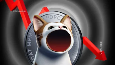 POPCAT Price Crashes 25% After $30M Manipulation on Hyperliquid Exchange