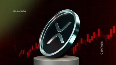 XRP Price News Canary Capital CEO Reveals When XRP Will Hit $10