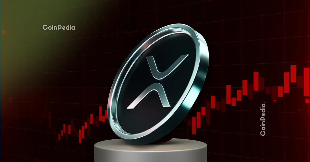 XRP Price News Canary Capital CEO Reveals When XRP Will Hit $10