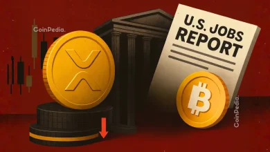 What Happened in the Crypto Market Today XRP Price Today, Bitcoin Price Reacts to U.S. Jobs Report and latest Crypto News