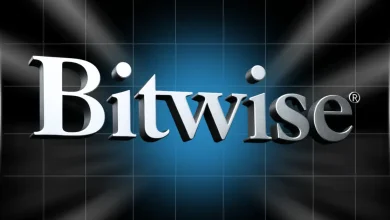 Bitwise XRP ETF Day 1 LIVE Ripple CTO Set To Address XRP Community Today