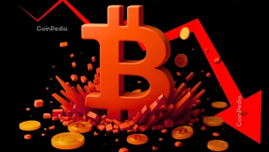 Crypto Market Crash Shows Signs of More Declines Ahead