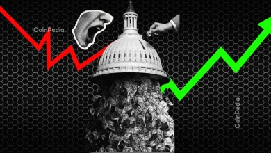 Crypto Market Crashes Ahead of Black Friday: Everything You Need to Know