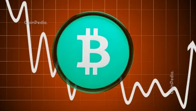 Why Bitcoin Cash Price is Up Today BCH Coin Surges Nearly 10%