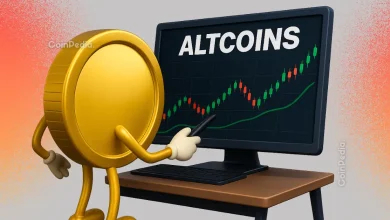 Altcoins Hold Strong as Bitcoin Falls 24% in November