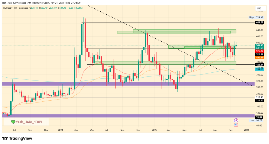 BCH Price Prediction 2025