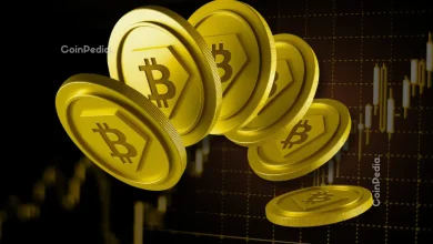 Bitcoin Crash Won’t Stop It: Ripple CEO Sees $180,000 Ahead