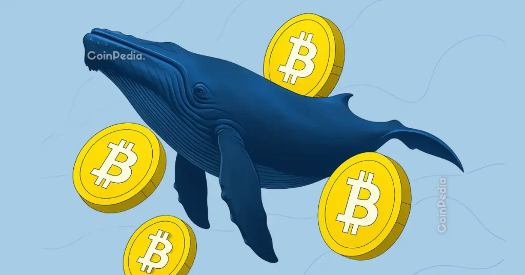 Bitcoin Whales Quietly Buying the Dip—Is a $120K Rebound Coming?