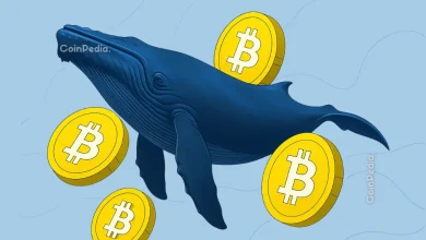 Bitcoin Whales Quietly Buying the Dip—Is a $120K Rebound Coming?