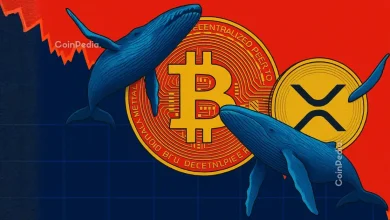 XRP Price Analysis: Whale Accumulation Hits 7-Year High Amid Market Fear