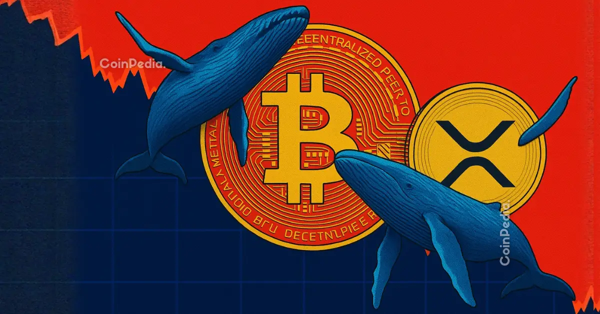 XRP Price Analysis: Whale Accumulation Hits 7-Year High Amid Market Fear