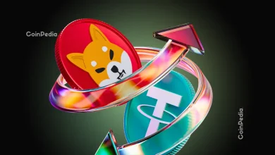 Shiba Inu Price Alert: Whale Transfers Spike as Burn Rate Jumps 248%