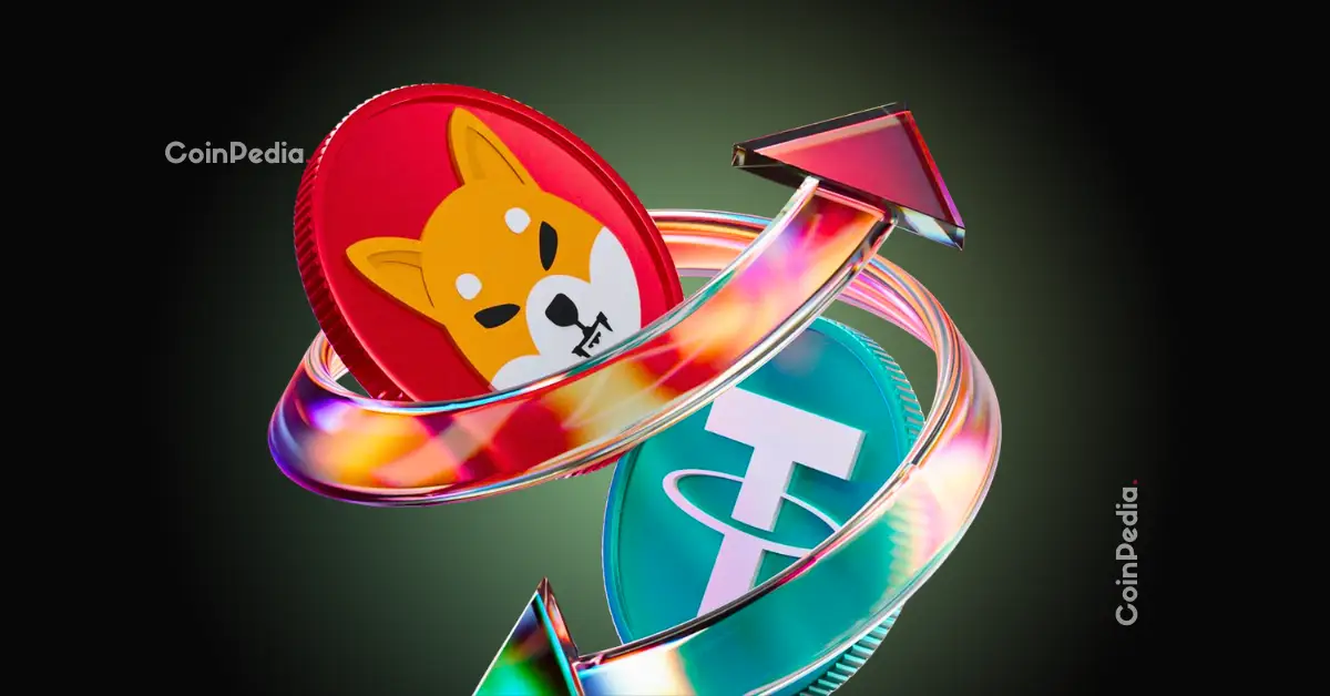 Shiba Inu Price Alert: Whale Transfers Spike as Burn Rate Jumps 248%