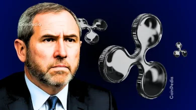 Ripple CEO Brad Garlinghouse Breaks Silence as XRP Becomes Fastest Spot ETF to Hit $1B
