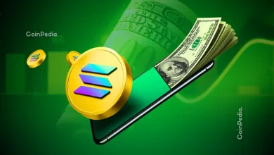 Solana Sell-Off Cools as SOL Price Defends Support—A Recovery Depends on This Level