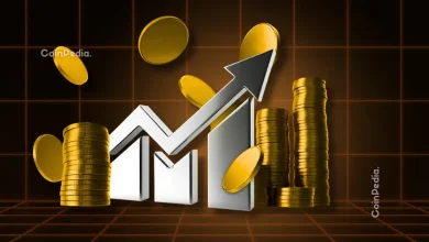 Altcoins to Buy Now: Raoul Pal Says These Three Chains Stand Out