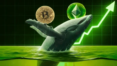 Whale Loads Up on $612M in BTC, ETH & SOL Longs—Is a Broader Crypto Market Rally Coming
