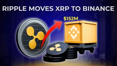 Ripple Moves $152M in XRP to Binance Amid 600M Token Wallet Shuffle