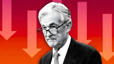 Kevin Hassett Says “Donald Trump Will Not Influence Fed Interest Rate Decisions”