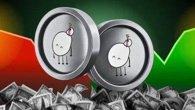 PIPPIN Token Price Surges 40% Today – Here’s Why It’s Rallying