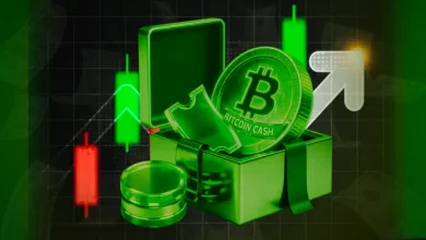 Here’s Why Bitcoin Cash (BCH) Is Up Today?