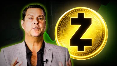Zcash Price Rally Looks Like Capital Rotation, Says Raoul Pal