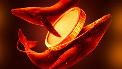 New Whale Buyers Now Drive 50% of Bitcoin’s Realized Cap – A Shift From Old Cycles?