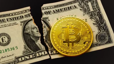 Bitcoin May Be Helping the US Dollar, Coinbase CEO Brian Armstrong Says