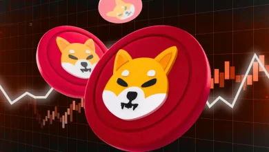 What Is Shiba Inu’s ‘Shib Owes You’ Plan for Hack Victims