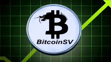 Bitcoin SV Price Jumps 14% as U.S. Regulatory Optimism Sparks Fresh Buying