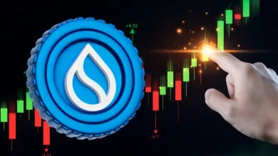 SUI Coin Price Surges Nearly 12%, Eyes $3.3 in Coming Months