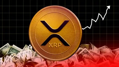 Why XRP Is Going up Today?