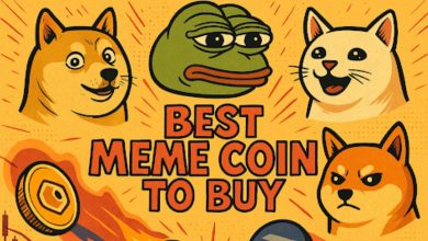 Solana meme coins
