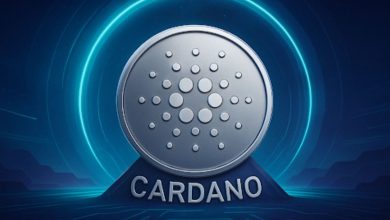 Solana meme coins (1)