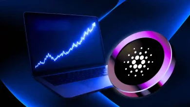 Why XRP Is Outperforming Bitcoin and Ethereum in 2026