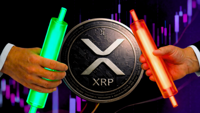 Why XRP Is Outperforming Bitcoin and Ethereum in 2026