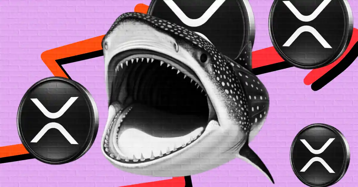 XRP Price Slips to $2.16 as Whale Activity Hits 3-Month High — What’s Really Happening?