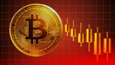 Wall Street Analyst Says Bitcoin Weakness Is Temporary, Backs Circle and Coinbase