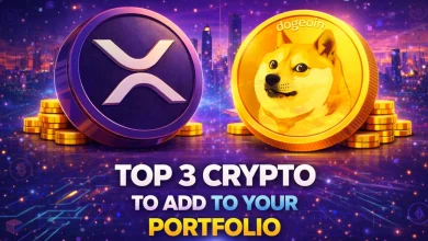 top-3-crypto-portfolio