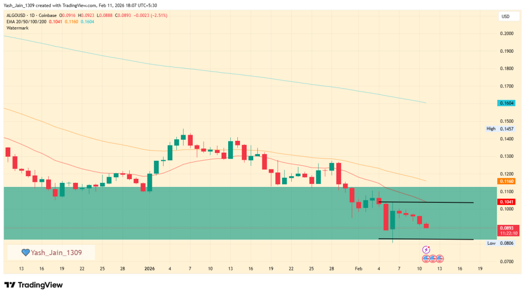 ALGO February Outlook 2026