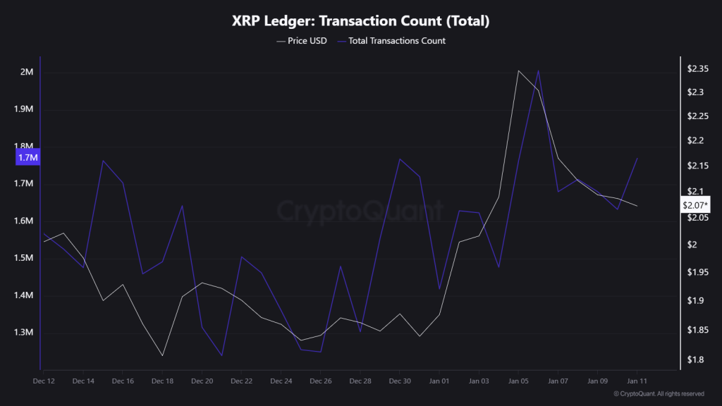 XRP Transactions