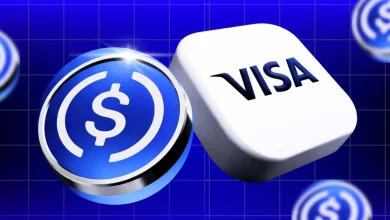 Visa Partners With BVNK to Enable Instant Stablecoin Payouts Globally