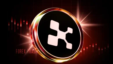 Why Did Kaito Price Drop 20% X’s InfoFi Ban Cut Off Core Utility