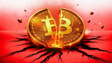 Crypto Scam Alert: Whale Lost Over $282M in Bitcoin and Litecoin Via Social Engineering Scam