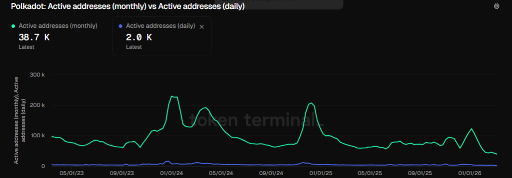 Polkadot Active Adresses