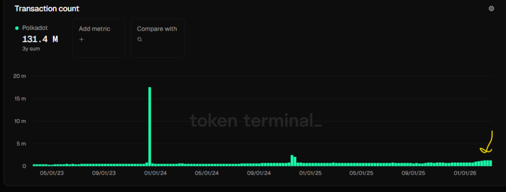 Polkadot Transaction Count