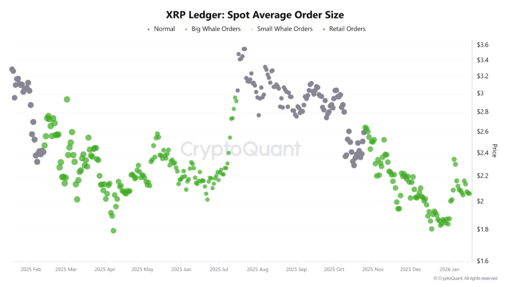 XRP Price Prediction January 2026: Onchain Signals Elevating XRP Rally Odds
