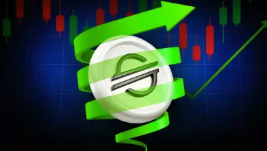 Stellar (XLM) Price Drifts Lower, Yet On-Chain Data Hint at a Turn