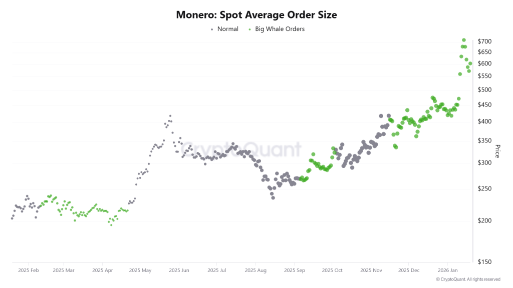 Monero Price Prediction January 2026: The Privacy Sector Giant Prepares for a $1,000 Run
